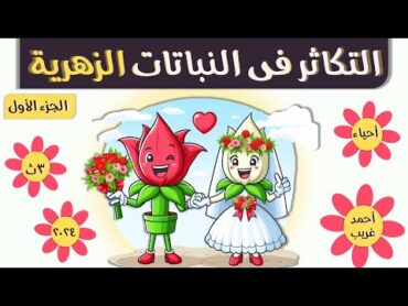 التكاثر في النباتات الزهرية  رحلة من البذور إلى الثمار  الجزء الأول