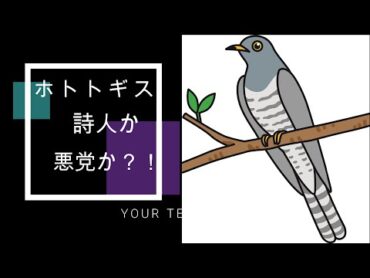 實吉先生が語るホトトギス。風流な面、残酷な面、日本人の心をつかむ名鳥！