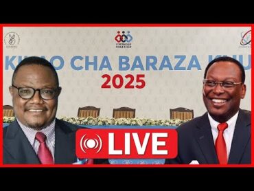 🔴LIVE: KURA ZINAHESABIWA MUDA HUU LISU NA MBOWE HAPATOSHI