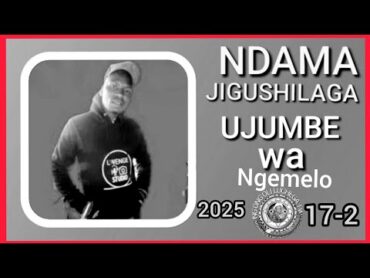 NDAMA JIGUSHILAGA UJUMBE WA NGEMELO 2025 Msambazaji ng&39;ong&39;oli luchega