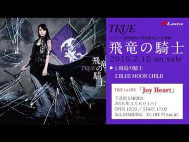 TRUE / 飛竜の騎士  シングル収録曲視聴動画