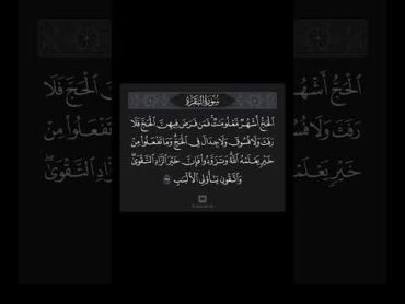 ﴿الحَجُّ أَشهُرٌ مَعلوماتٌ﴾ [البقرة: 197] الشيخ مشاري العفاسي