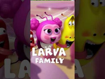 Larva Family Season 2: All latest Update  shorts  shortsvideo  shortsyoutube