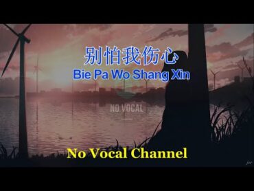 Bie Pa Wo Shang Xin ( 别怕我伤心 ) Male Karaoke Mandarin  No Vocal