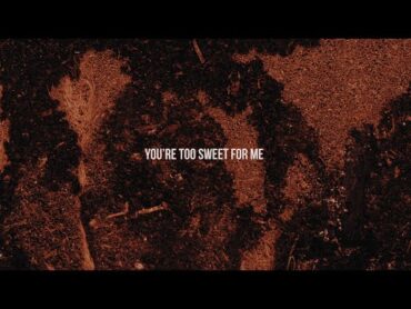 Hozier  Too Sweet (Official Lyric Video)