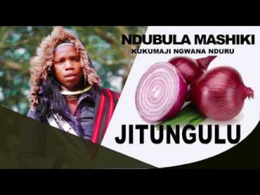 Kukumaji Ndubula (JITUNGULU official audio