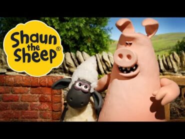 Pig Trouble  Shaun the Sheep  S2 Full Episodes