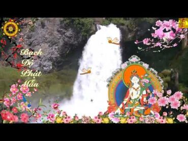 White Tara Mantra   白度佛母   Thần Chú Bạch Độ Phật Mẫu  Tăng Trưởng Thọ Mạng   Chùa Sơn La