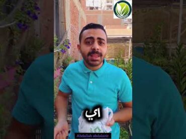 سر نجاح النعناع فوق سطح البيت 🌿☕ زراعة الأسطح garden فلسطين زراعة اشجار سماد اكسبلور زراعه