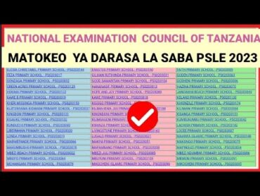 Jinsi ya kupata Matokeo ya Darasa la Saba 2023/2024 Bila Bando PSLE Results