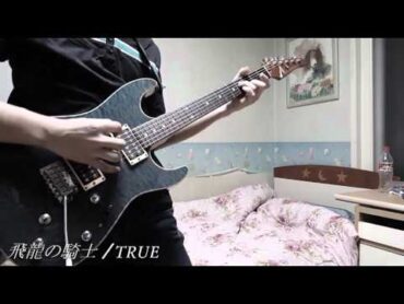 TRUE  飛竜の騎士 (cover)