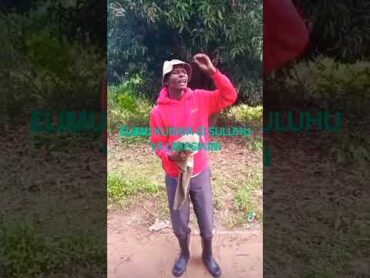 WASOMI MASIKINI comedy funny vichekesho apple kisweta humor duet Maisha magumu