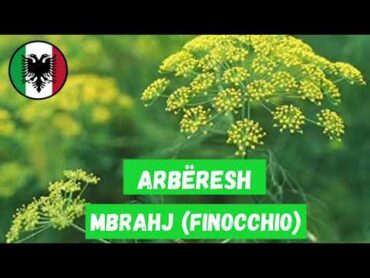 VOCABOLARIO ARBËRESH (MBRAJ/MBRAHJ)