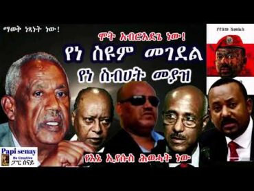 የነ ስዩም መገደል = የነ ስብሀት መያዝ  &39;&39; የእኔ ኢየሱስ ሕወሓት ነው &39;&39; አቦይ ስብሀት // በያየሰው ሽመልስ audiobook የመጽሐፍ ትረካ ምርጥ