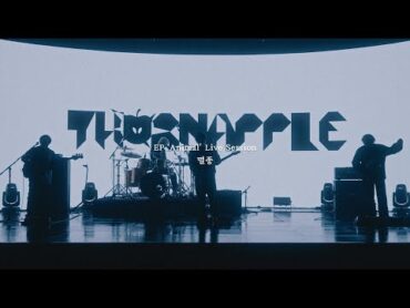 쏜애플(THORNAPPLE)  &39;멸종&39; (EP &39;Animal&39; Live Session)