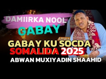 DAMIIRKA NOOL  GABAY  ABWAAN MUXIYADIIN SHAAHID 2025