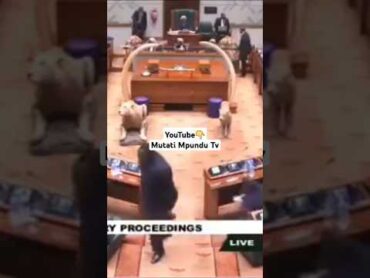 UPND’s MP Walk Out of Parliament From Debating A Motion On the High Cost of Living Shorts "Watch"