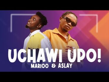 Aslay Ft Marioo  Uchawi Upo (Official Music Video)