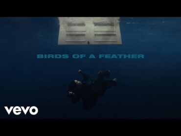 Billie Eilish  BIRDS OF A FEATHER (Official Lyric Video)