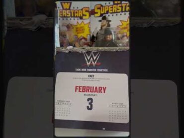 WWE 2025 Calendar w/ Daily Facts!!