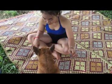 Amazing Smart Puppies Playing With Cute Girl At Farm  How To Play with Smart dog