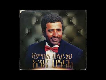 Shambel Belayneh  Amoraw (ሻምበል በላይነህ  አሞራው)