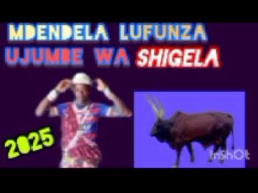 MDENDELA LUFUNZA UJUMBE WA SHIGELA BY MSAMBAZAJI LUFUNZA MANYANDA 2025