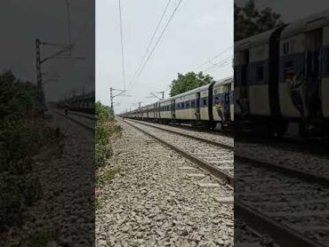 Gaya to Patna passenger train