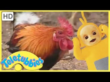 ★Teletubbies Everywhere ★ English Episodes ★ Feeding Chickens (Portugal) ★ Full Episode (S01E03) HD