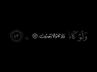 افانت تهدي العمي ولو كانوا لا يبصرون/ القارئ عبدالرحمن مسعد قرآن