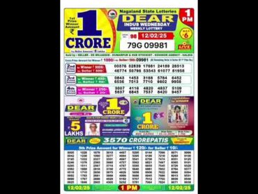 Nagaland lottery result today 1pm 12/02/2025   morning Nagaland State Lottery Result Pdf.