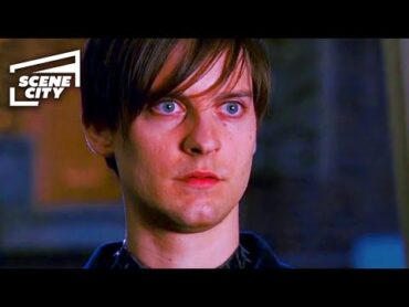 SpiderMan 3: Peter Parker vs. Harry Osborn (MOVIE SCENE)  With Captions