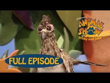 Animal Show  Marine Iguana 🦎 / Roadrunner  Jim Henson Family Hub