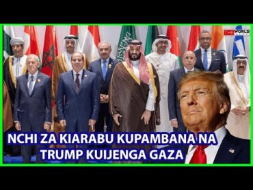 JE,WAARABU WATAUWEZA MSULI WA TRUMP KATIKA KUIJENGA GAZA?