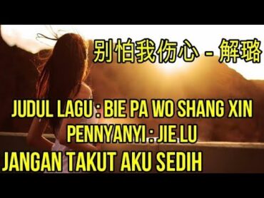 Lagu mandarin Terjemahan Indonesia,Bie pa wo shang xin,别怕我伤心 解璐