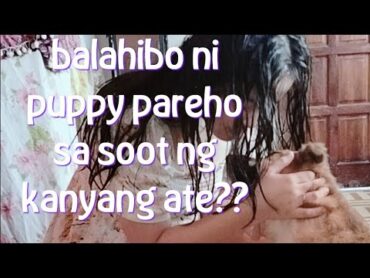 EOISODE208 Balahibo ni puppy at ang pantalon ng aking anak magkasingkulay (mapagmahal din ate niya)