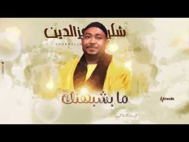 شكرالله عزالدين  ما بشبهنك   New 2025  اغاني سودانية 2025