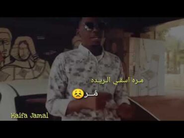 جديد مامون سوار الدهب إنت حُر