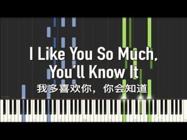 I Like You So Much, You’ll Know It (我多喜欢你，你会知道)  A Love So Beautiful [Piano Tutorial] (Synthesia)