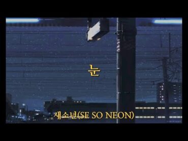 사랑, 나는 멀리 이곳에┃새소년(SE SO NEON)  눈(Winter) [가사/해석/번역/lyrics]