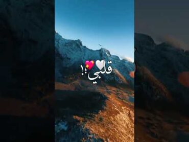 قلبي حبيبة قلبي روحي وربي 😍😍😍😘💋💘💖💕❤💓💞💯💍👰👫