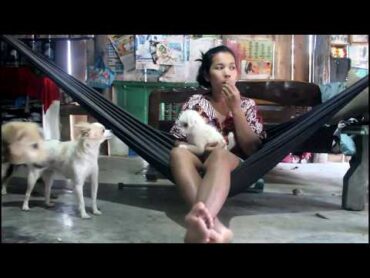 Wow Amazing Beautiful Girl Playing With Dog   Smart & Funny Dog Part02