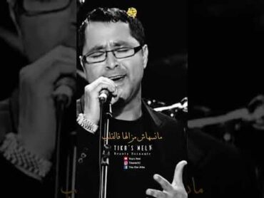 الشاب محمد لمينcheb mohamed lamineالراي 2023 المغرب music