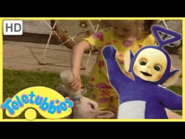 ★Teletubbies Everywhere ★ English Episodes ★ Feeding Lambs (Wales) ★ Full Episode (S2E49)  HD