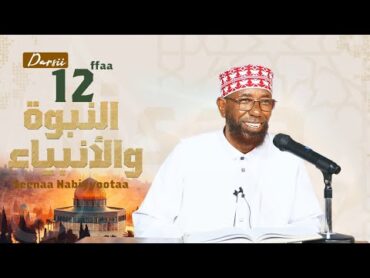 sheikh Amin Ibro  Seenaa Nabiyyootaa (النبوة والأنبياء) Nabi Iisaa  عَلَيْهِ السَّلَامُ D12