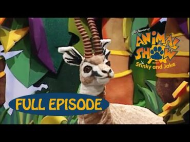 Animal Show  Cheetah 🐆 / Gazelle  Jim Henson Family Hub  Kids Cartoon