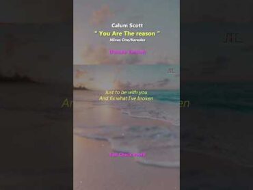 You Are The Reason (Female Key) karaoke calumscott lyrics piano instrumental