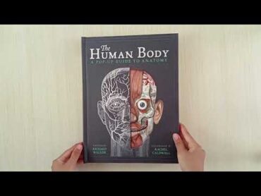 The Human Body Pop Up Book