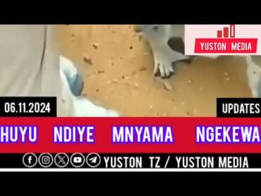 HUYU NDIYE MNYAMA NGEKEWA