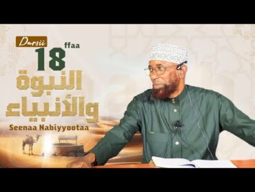 Sheikh Amin Ibro  Seenaa Nabiyyootaa (النبوة والأنبياء) Nabi Saalih عَلَيْهِ السَّلَامُ D18